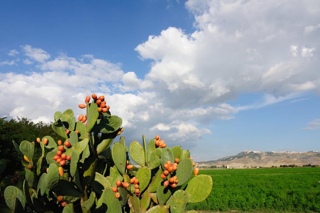 L'Orto Di Lucania Montescaglioso Værelse billede